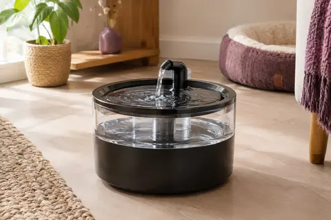 Fontaine à eau ronde noire pour chat, avec réservoir transparent et écoulement façon robinet dans un intérieur chaleureux.