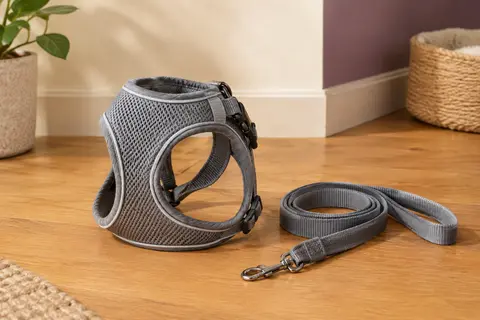 Harnais gris pour chat en maille avec laisse assortie et bord réfléchissant, posé sur un sol en bois miel.