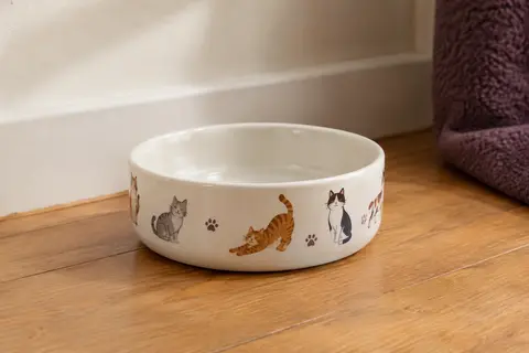 Gamelle en céramique blanche pour chat, arrondie et décorée de motifs ludiques sur un sol en bois